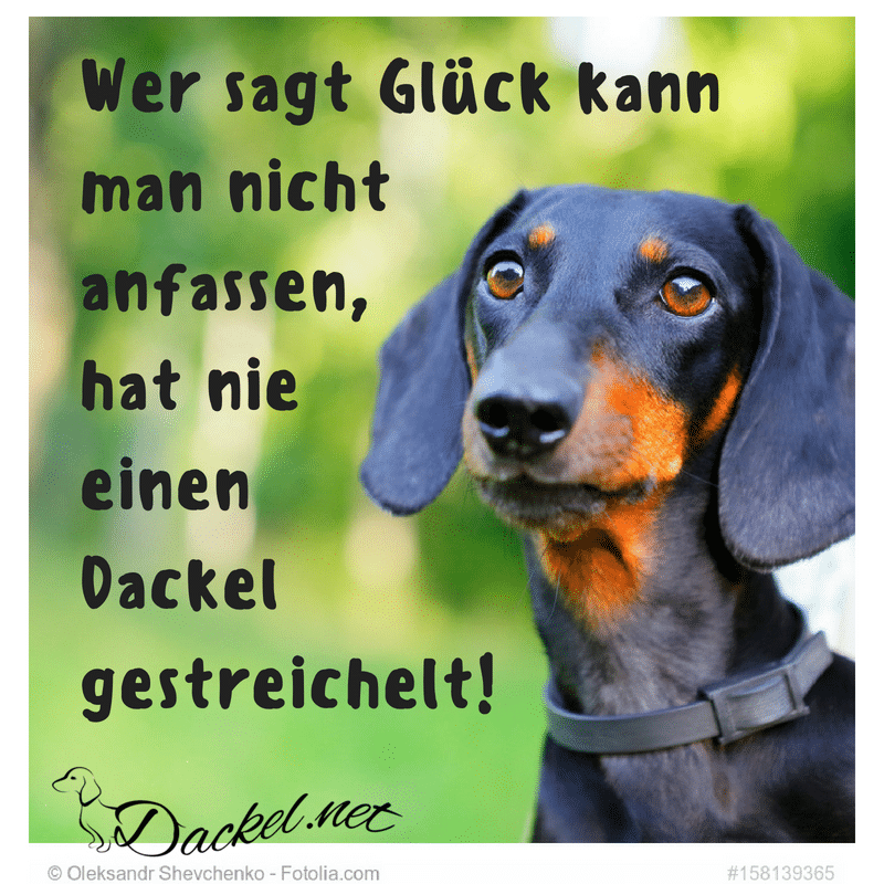 Fashionalarm Turnbeutel Mit Dackel-Spruch – „Wer Sagt Glück Kann Man Nicht Anfassen“, Schwarz, 37x46 Cm
